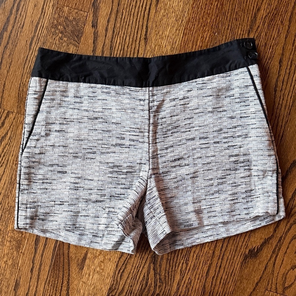E Ann Taylor LOFT Preppy Shorts with Black Trim Design Contemporary Casual
